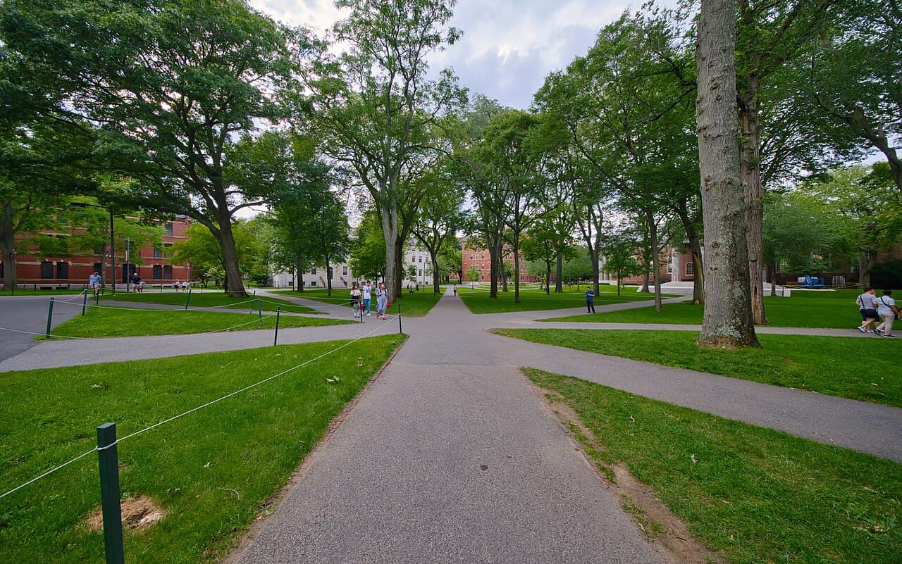 Tree-lined paths through Harvard Yard