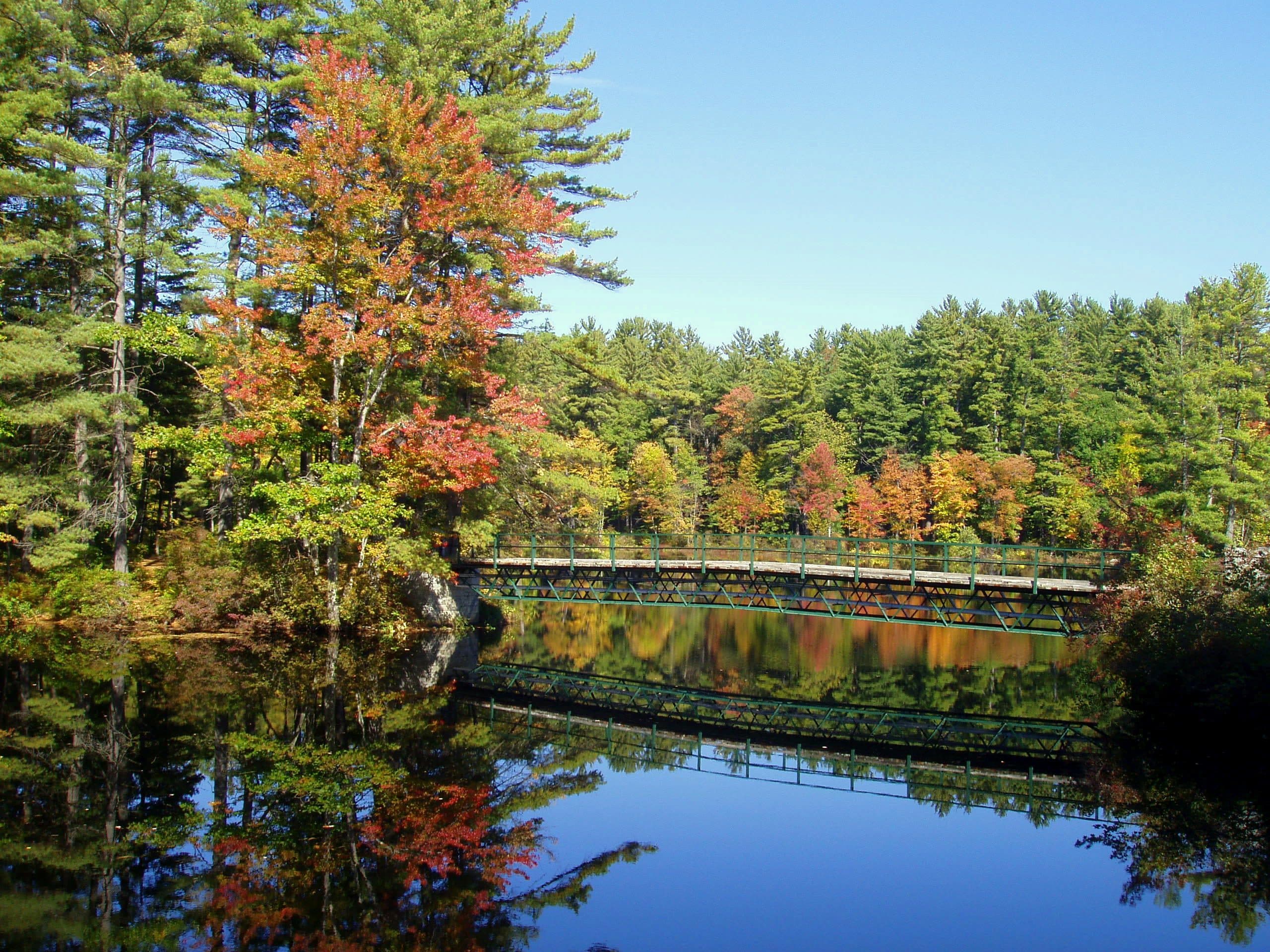 A footbridge reflected in a pond among autumn trees at St. Paul’s