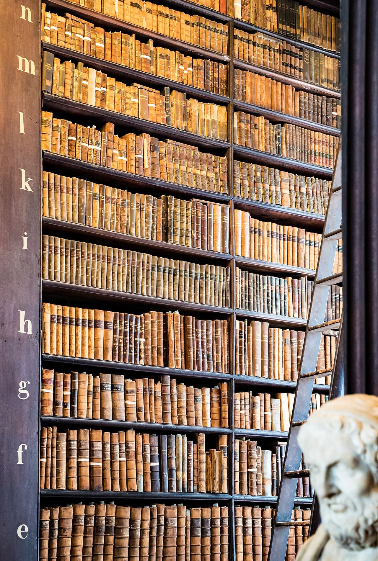 Tall wooden shelves of old leather-bound books with a library ladder and a marble bust